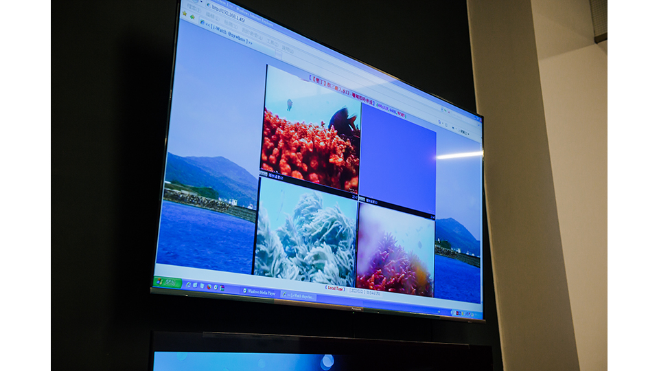 南灣珊瑚即時監測影像。